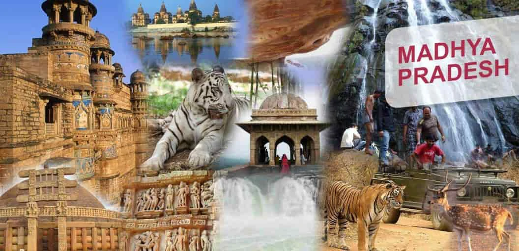 Holiday tour operators in Bhopal, Travel agents in Bhopal, Tour
operators in Bhopal